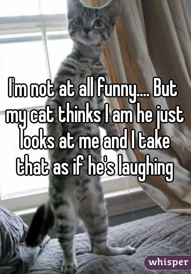 I'm not at all funny.... But my cat thinks I am he just looks at me and I take that as if he's laughing