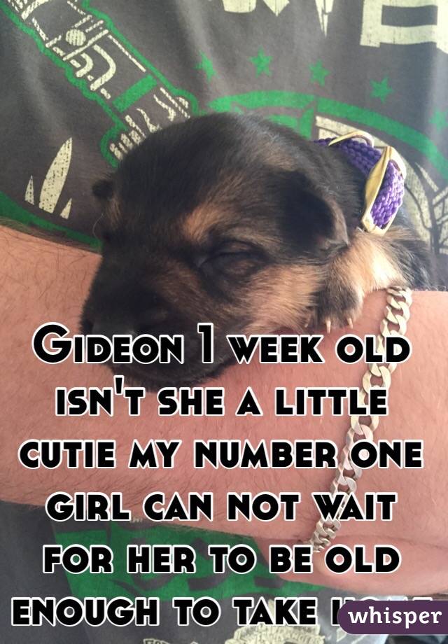Gideon 1 week old isn't she a little cutie my number one girl can not wait for her to be old enough to take home 
