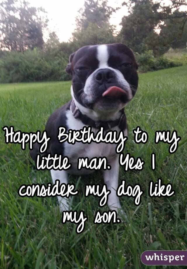 Happy Birthday to my little man. Yes I consider my dog like my son. 