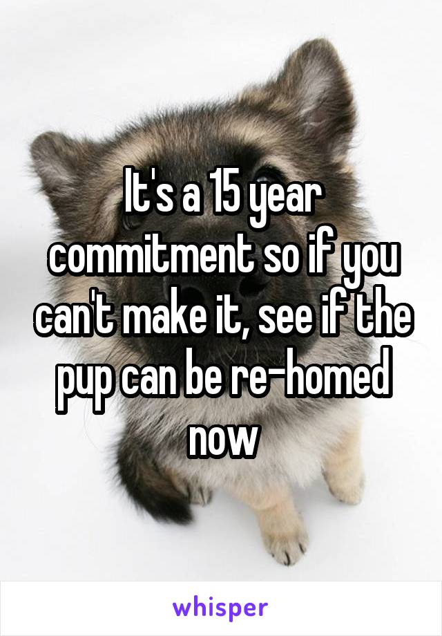 It's a 15 year commitment so if you can't make it, see if the pup can be re-homed now
