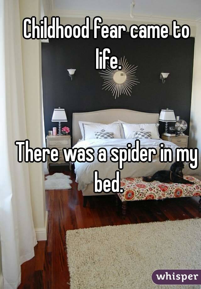 Childhood fear came to life.


There was a spider in my bed.