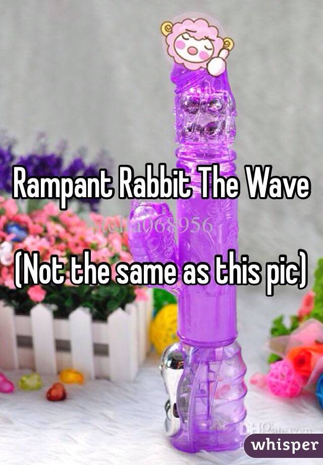Rampant Rabbit The Wave

(Not the same as this pic)