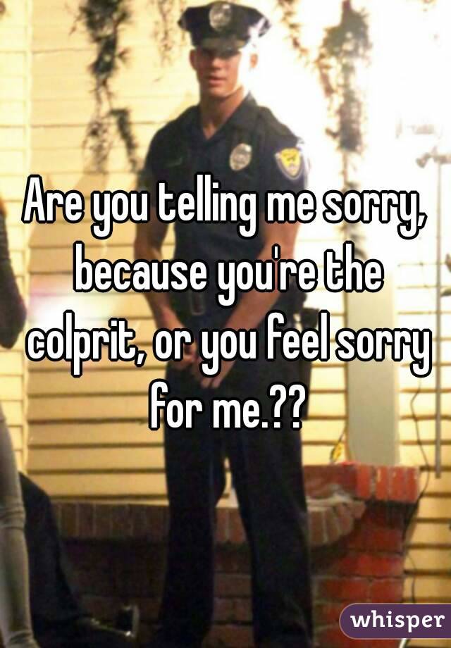 Are you telling me sorry, because you're the colprit, or you feel sorry for me.??