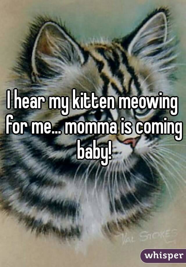 I hear my kitten meowing for me... momma is coming baby!