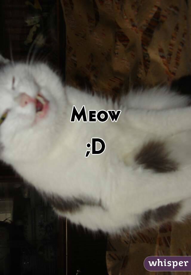 Meow

;D