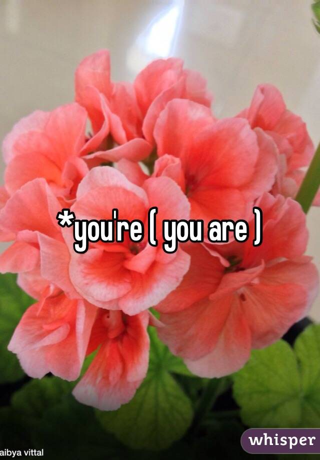 *you're ( you are )