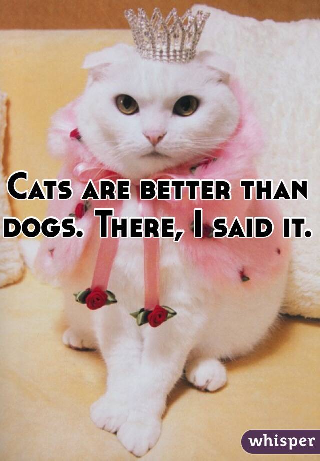 Cats are better than dogs. There, I said it.