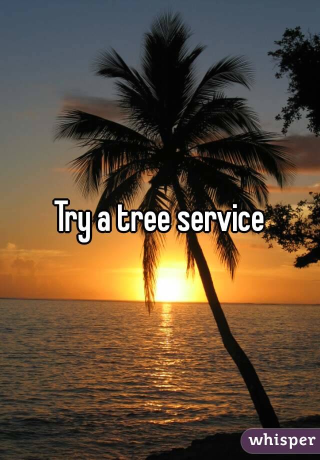 Try a tree service