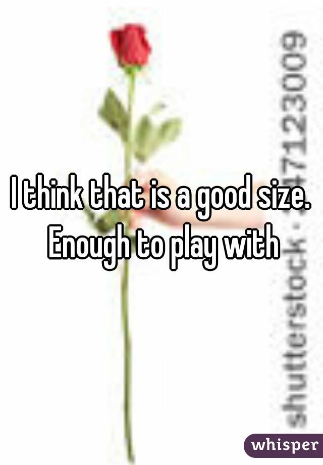 I think that is a good size. Enough to play with