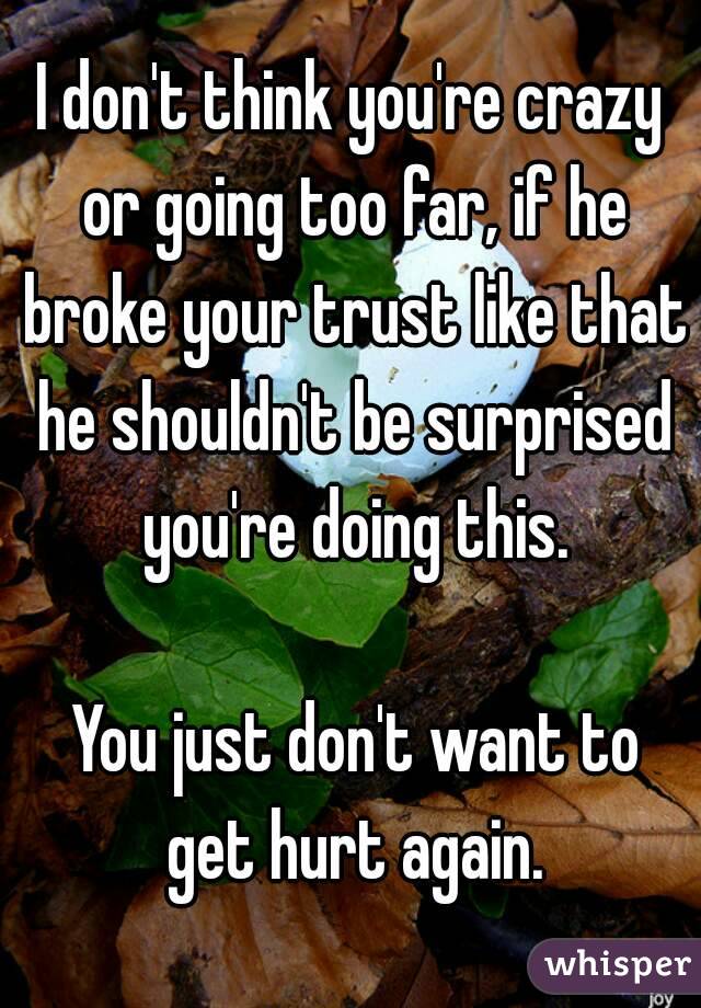 I don't think you're crazy or going too far, if he broke your trust like that he shouldn't be surprised you're doing this.

 You just don't want to get hurt again.