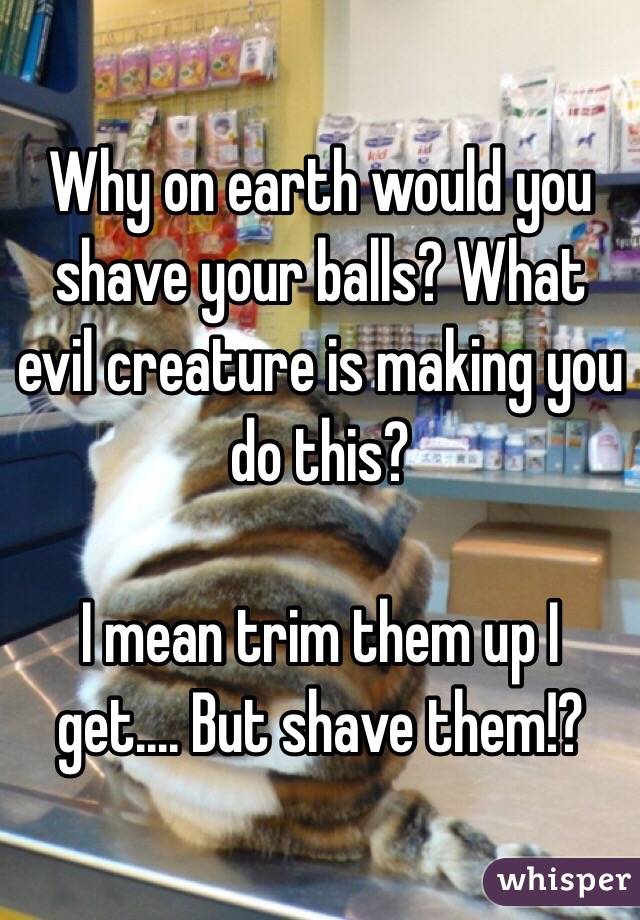 Why on earth would you shave your balls? What evil creature is making you do this?

I mean trim them up I get.... But shave them!?