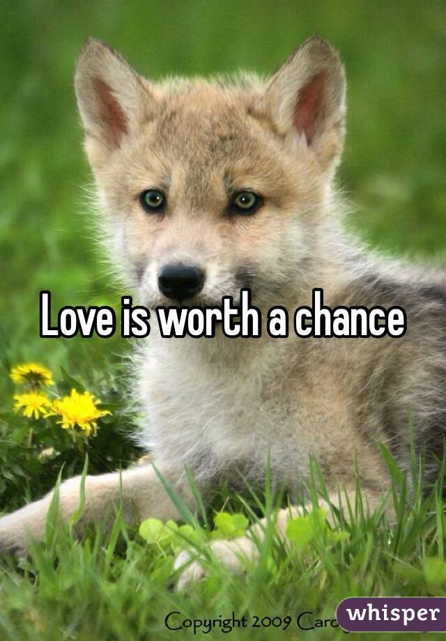 Love is worth a chance