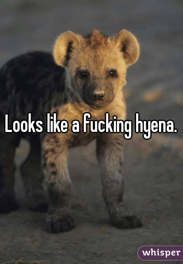 Looks like a fucking hyena.