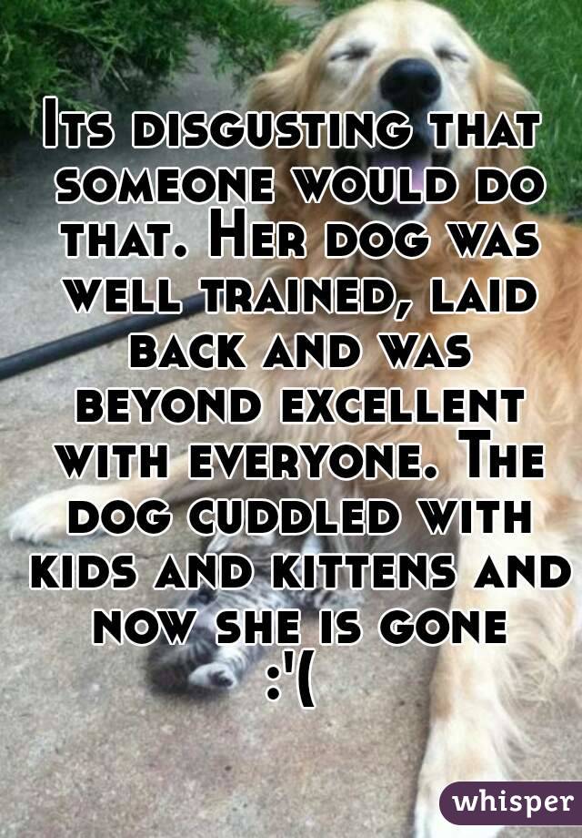 Its disgusting that someone would do that. Her dog was well trained, laid back and was beyond excellent with everyone. The dog cuddled with kids and kittens and now she is gone
:'(