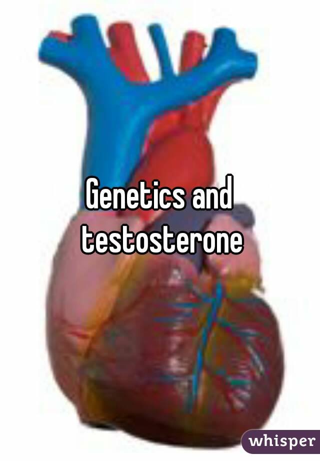 Genetics and testosterone