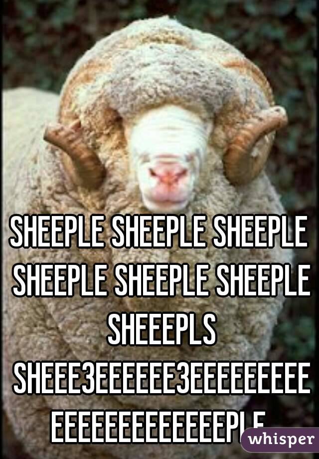 SHEEPLE SHEEPLE SHEEPLE SHEEPLE SHEEPLE SHEEPLE SHEEEPLS SHEEE3EEEEEE3EEEEEEEEEEEEEEEEEEEEEEPLE