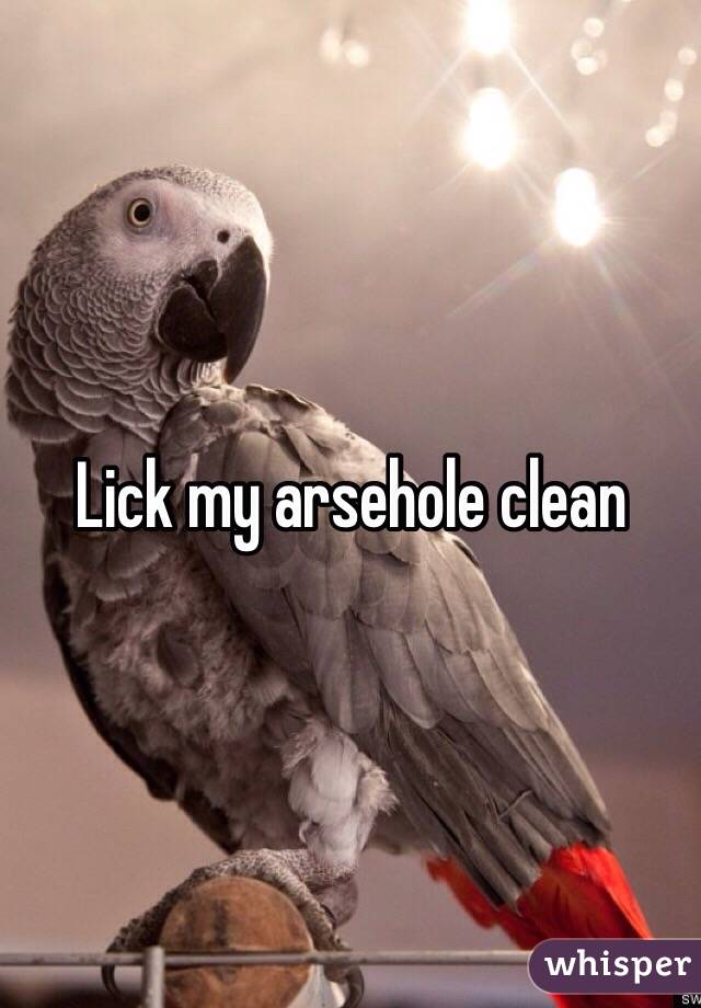 Lick my arsehole clean
