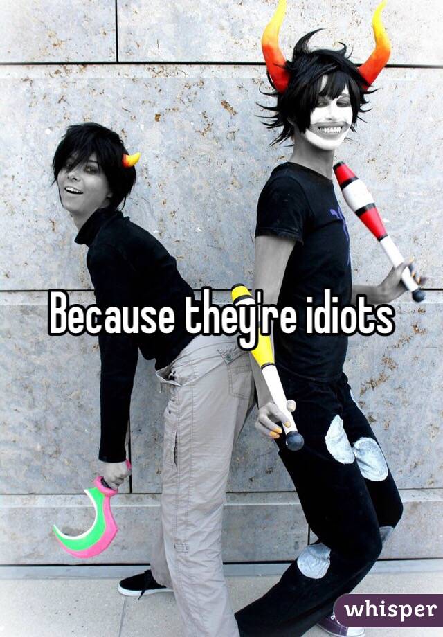 Because they're idiots 