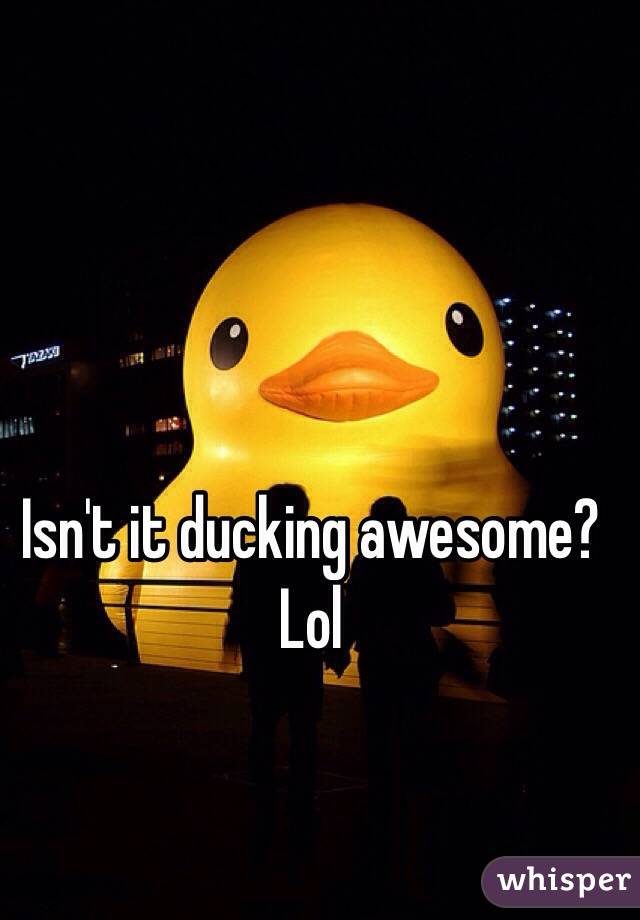 Isn't it ducking awesome? Lol 