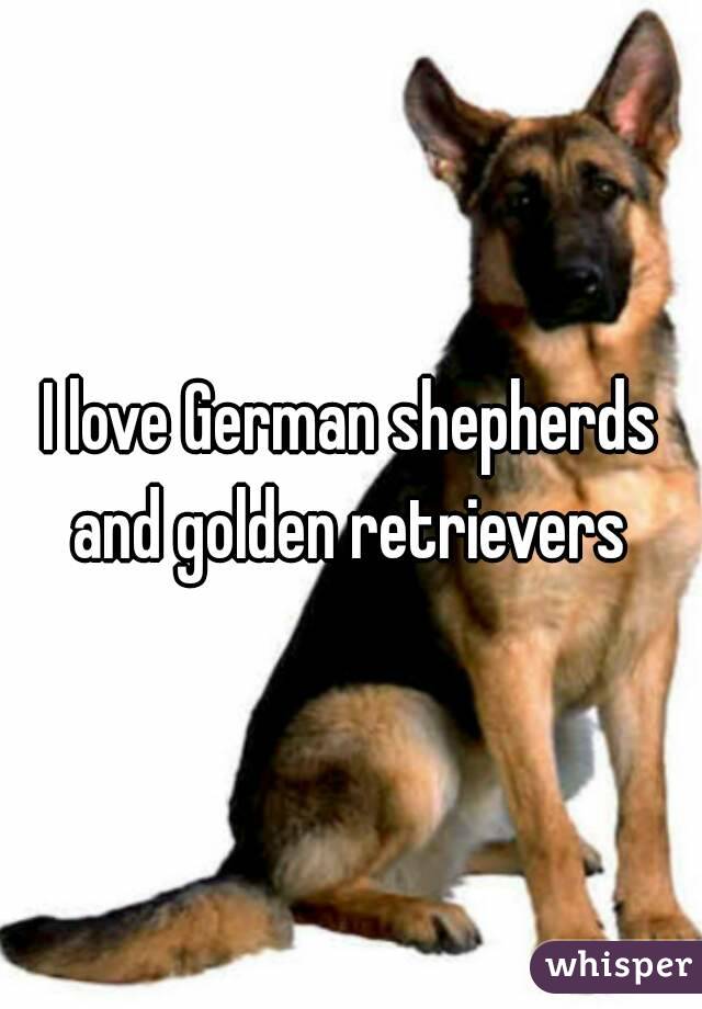 I love German shepherds and golden retrievers 