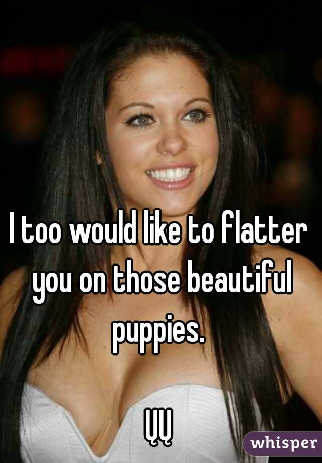 I too would like to flatter you on those beautiful puppies. 

ŲŲ