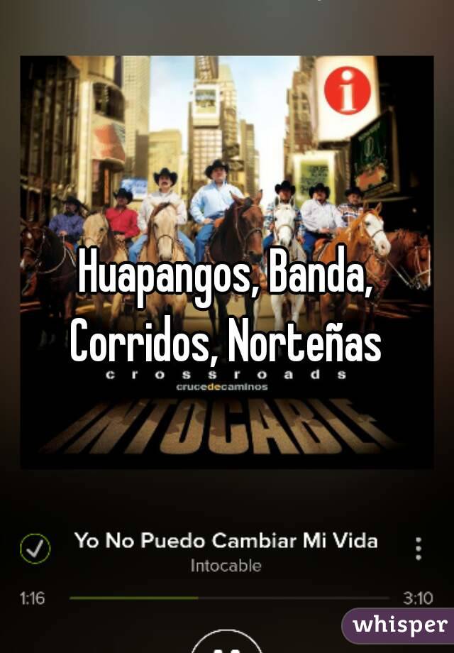 Huapangos, Banda, Corridos, Norteñas 
