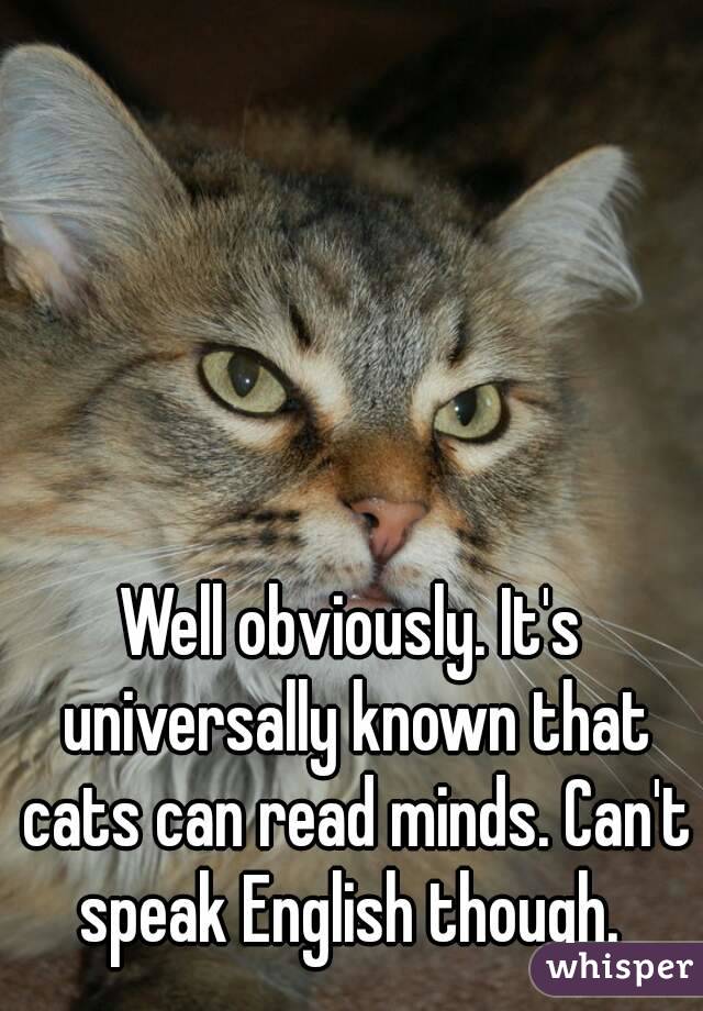 Well obviously. It's universally known that cats can read minds. Can't speak English though. 