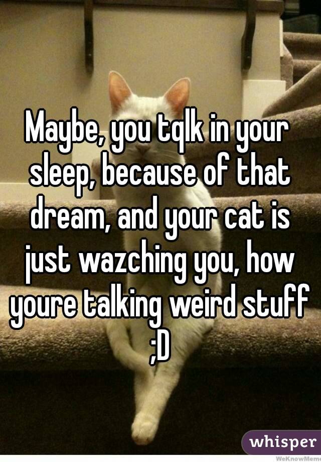 Maybe, you tqlk in your sleep, because of that dream, and your cat is just wazching you, how youre talking weird stuff ;D