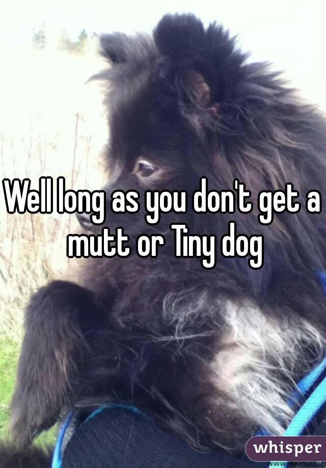 Well long as you don't get a mutt or Tiny dog