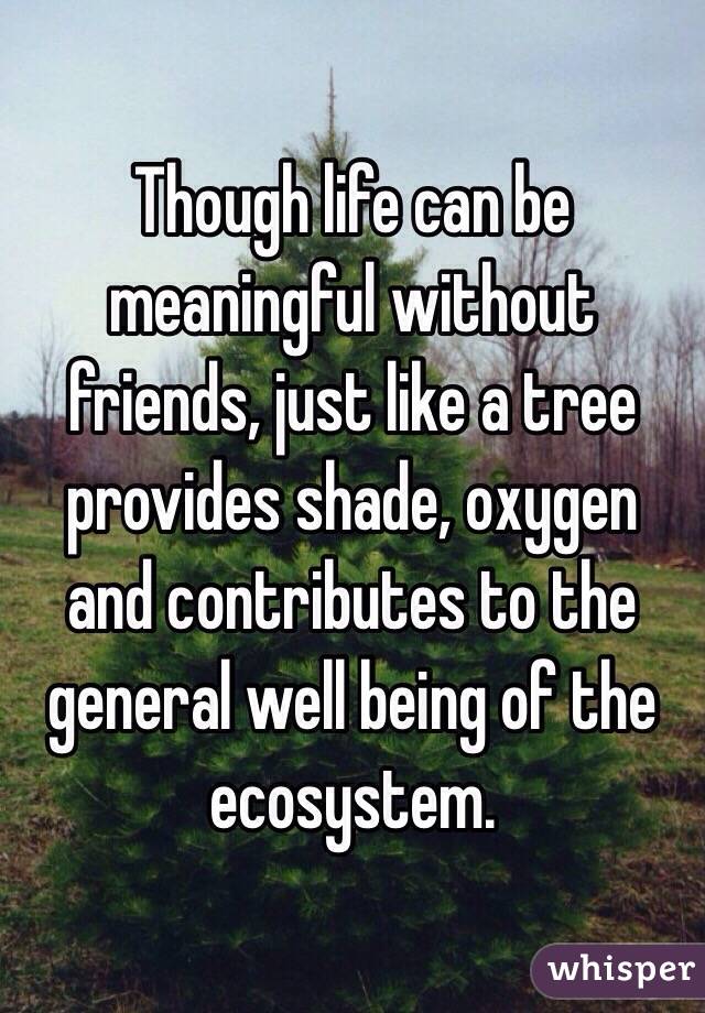 Though life can be meaningful without friends, just like a tree provides shade, oxygen and contributes to the general well being of the ecosystem. 