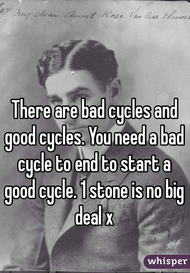 There are bad cycles and good cycles. You need a bad cycle to end to start a good cycle. 1 stone is no big deal x