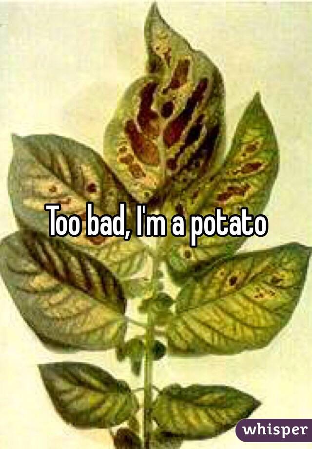 Too bad, I'm a potato