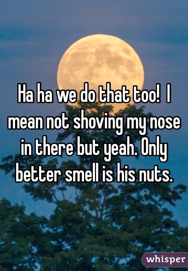 Ha ha we do that too!  I mean not shoving my nose in there but yeah. Only better smell is his nuts. 