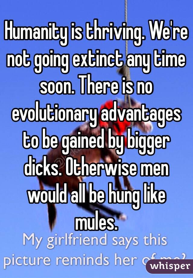 Humanity is thriving. We're not going extinct any time soon. There is no evolutionary advantages to be gained by bigger dicks. Otherwise men would all be hung like mules.