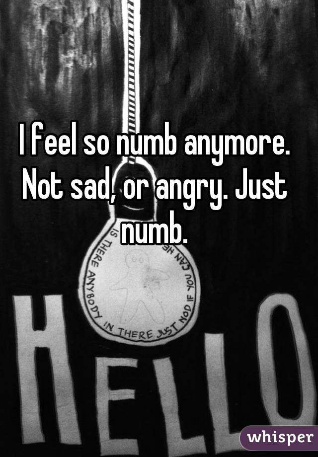 I feel so numb anymore. Not sad, or angry. Just numb.