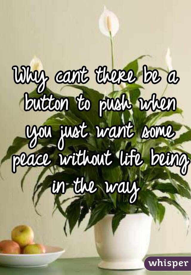 Why cant there be a button to push when you just want some peace without life being in the way 