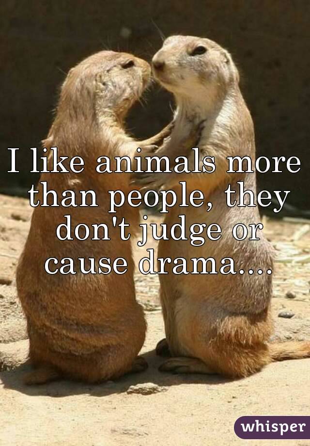 I like animals more than people, they don't judge or cause drama....