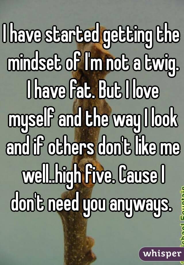 I have started getting the mindset of I'm not a twig. I have fat. But I love myself and the way I look and if others don't like me well..high five. Cause I don't need you anyways. 