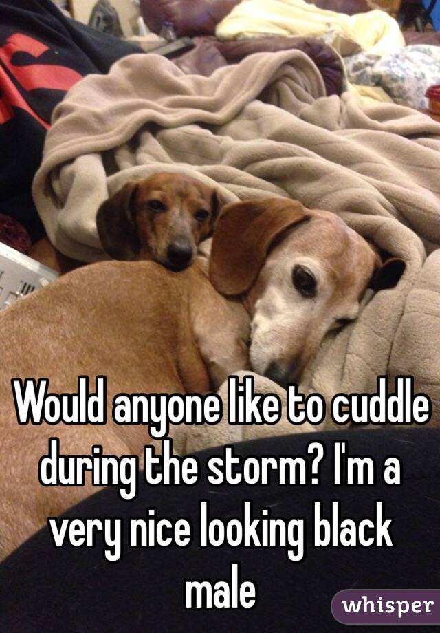 Would anyone like to cuddle during the storm? I'm a very nice looking black male 