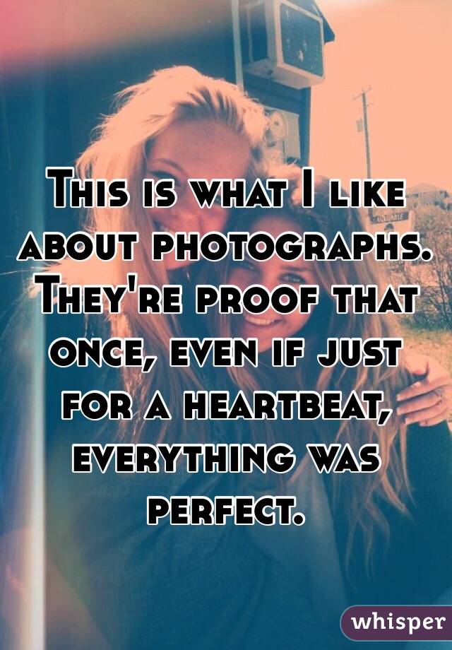 This is what I like about photographs. They're proof that once, even if just for a heartbeat, everything was perfect. 