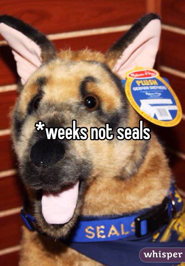*weeks not seals