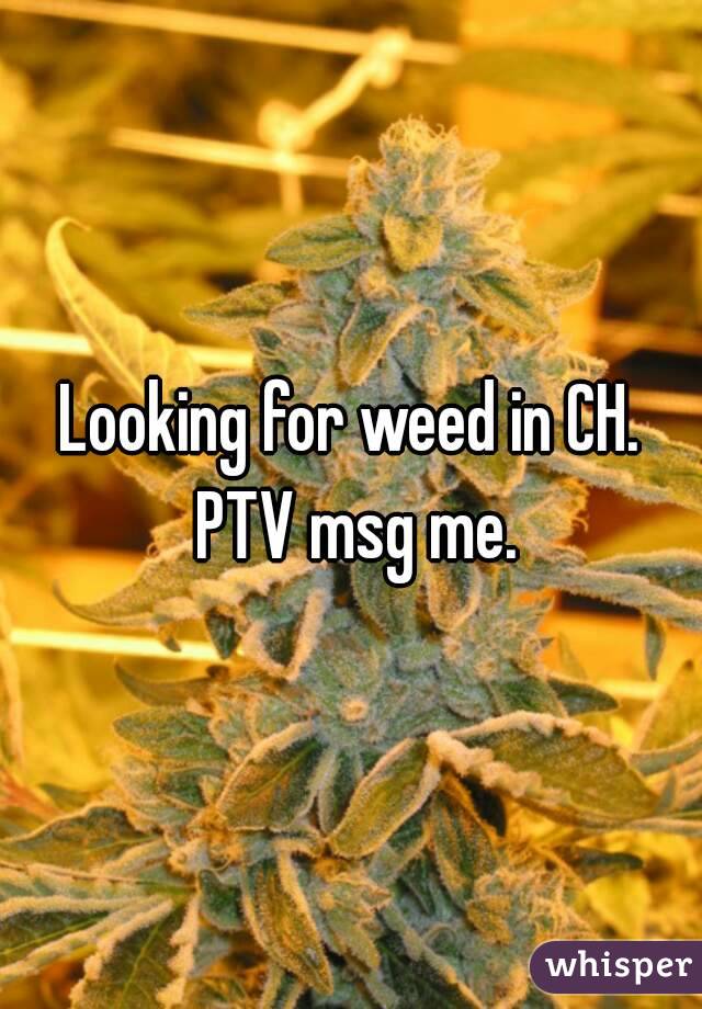 Looking for weed in CH. PTV msg me.