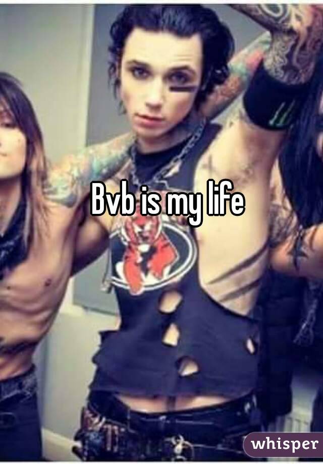 Bvb is my life
