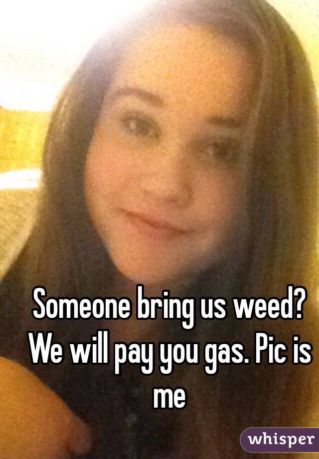 Someone bring us weed? We will pay you gas. Pic is me 