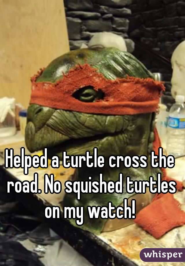 Helped a turtle cross the road. No squished turtles on my watch! 
