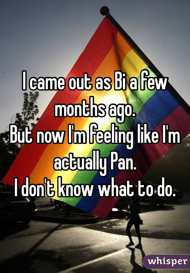 I came out as Bi a few months ago.
But now I'm feeling like I'm actually Pan.
I don't know what to do.
