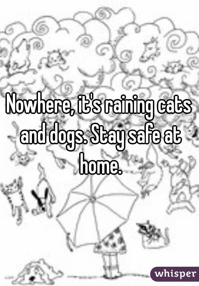 Nowhere, it's raining cats and dogs. Stay safe at home.