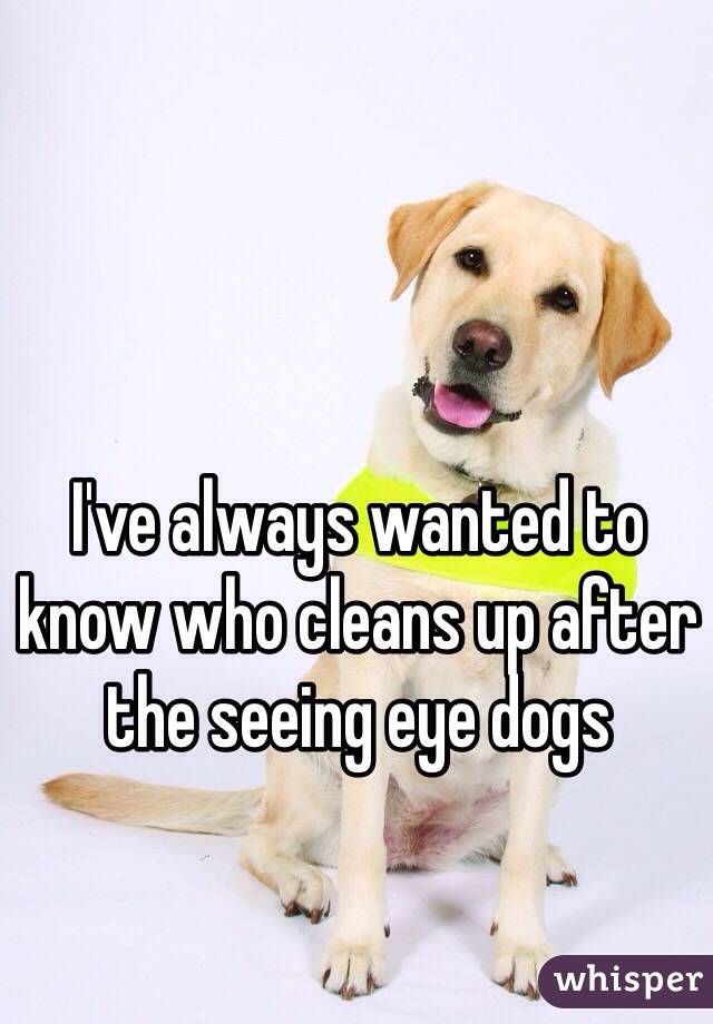 I've always wanted to know who cleans up after the seeing eye dogs