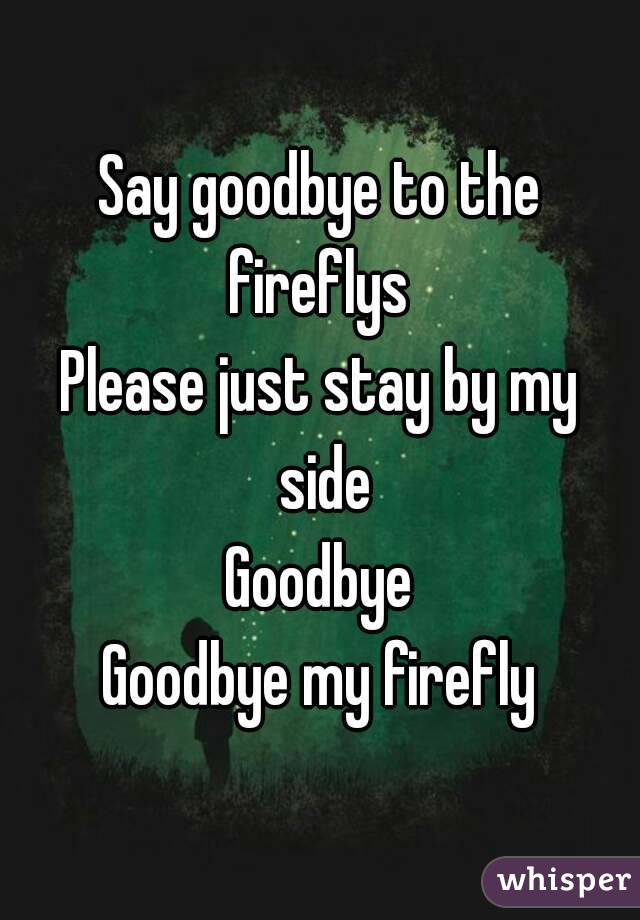 Say goodbye to the fireflys 
Please just stay by my side
Goodbye
Goodbye my firefly