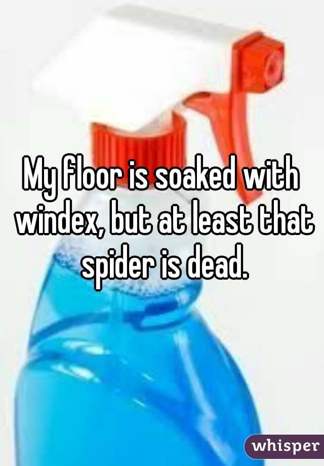 My floor is soaked with windex, but at least that spider is dead.